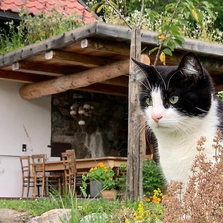 Tresdorf Ferienhaus Krieben מראה חיצוני תמונה