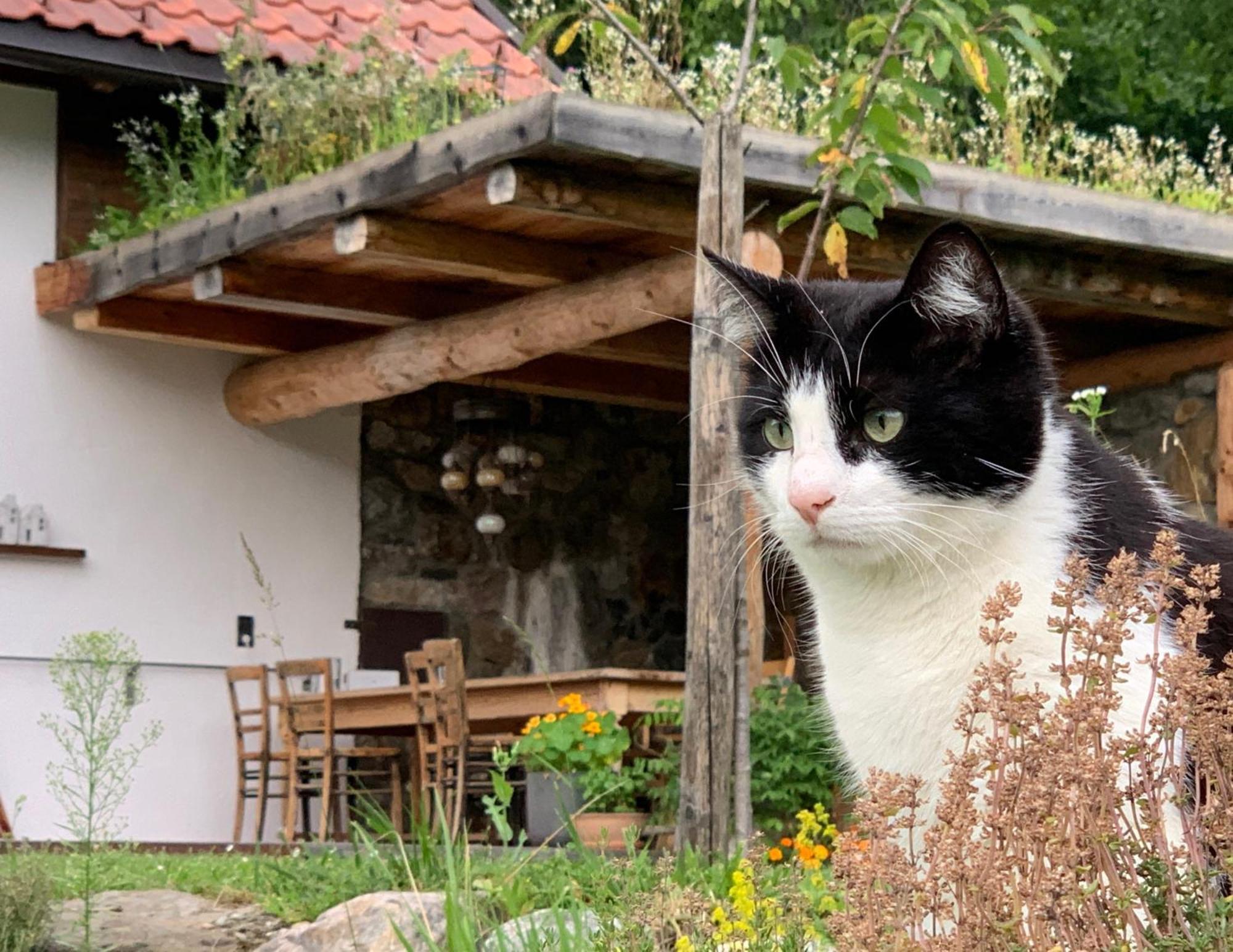 Tresdorf Ferienhaus Krieben מראה חיצוני תמונה